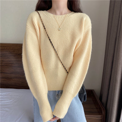 Basic short knit PRCL902673